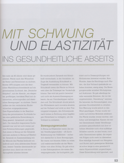 Feine Hilfen – Nr. 44 – Seite 53