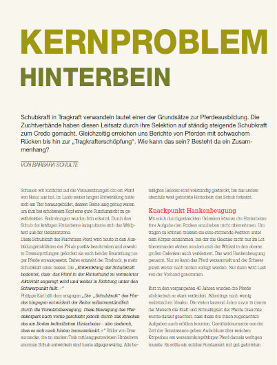 Feine Hilfen – Nr. 48 – Artikel