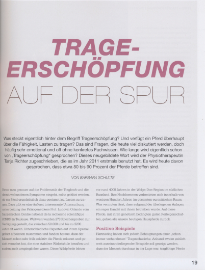 Feine Hilfen – Trageerschöpfung - Seite 19