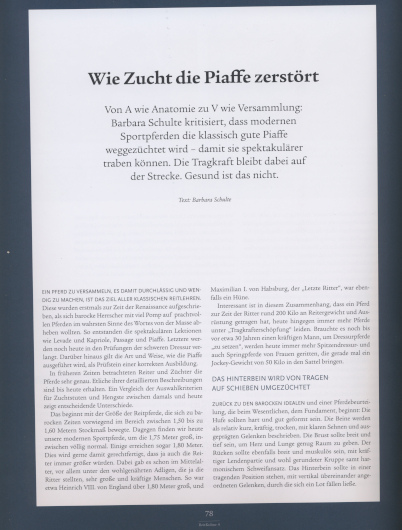 ReitKultur – Nr. 4 – Seite 78