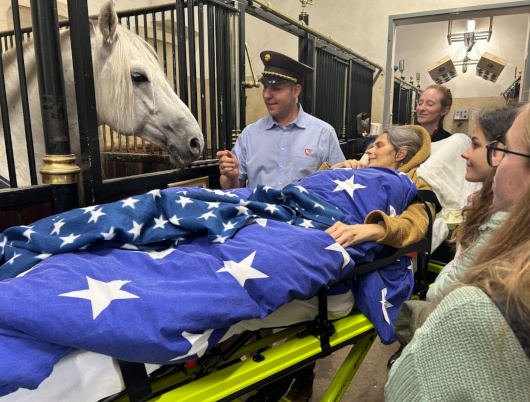 Rollende Engel in der Stallburg
