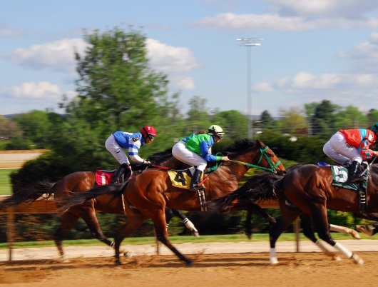 Horse Racing